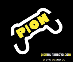 Pion Bilişim 2